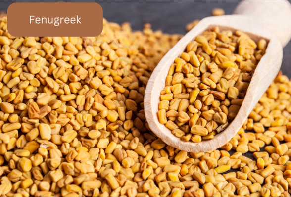 Fenugreek